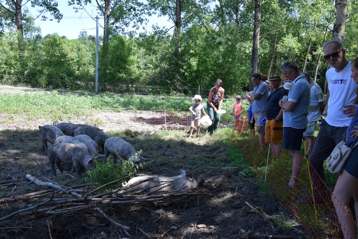 Ferme des Charmes - photo 5