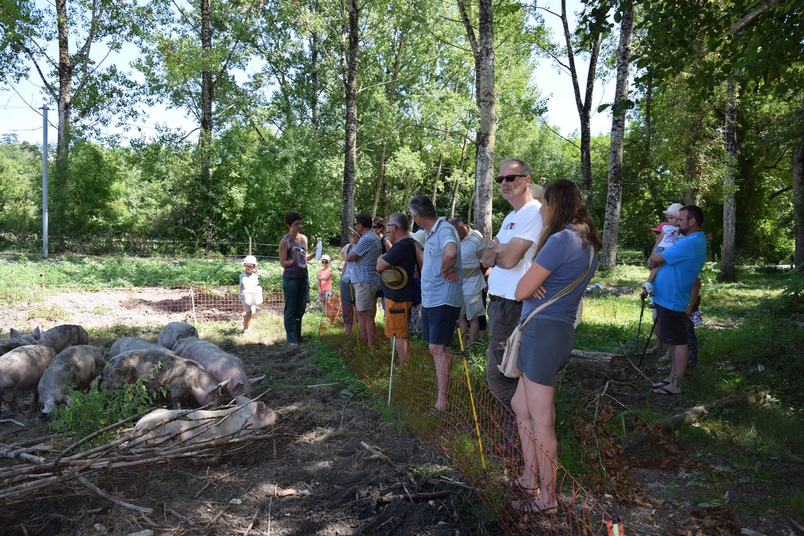 Ferme des Charmes - photo 4