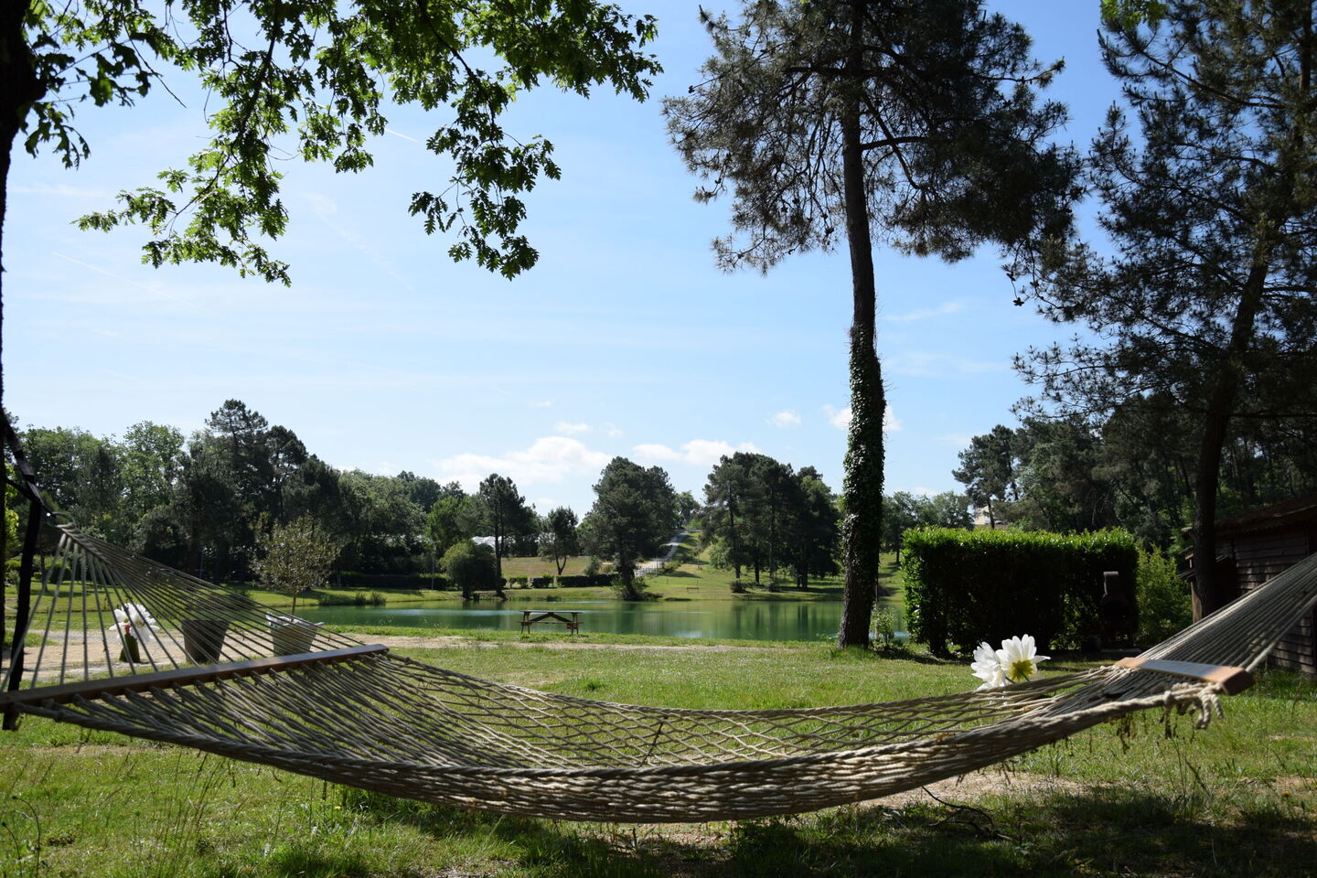 Gaia Ecolodge - photo 4