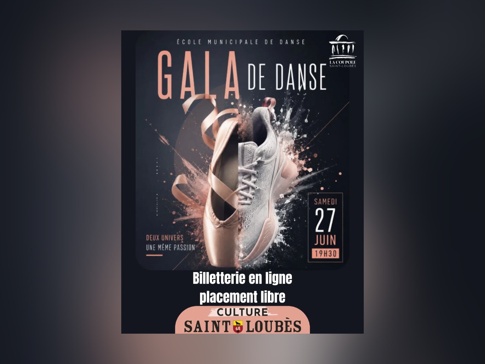 Gala de l'école de danse