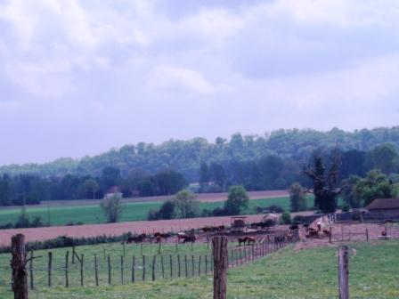 Ganaderia Dargelos, Saint-Sever - photo 2