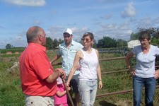 Ganaderia le Grand Soussotte, être ganadero c'est tout un art, Pomarez - photo 3