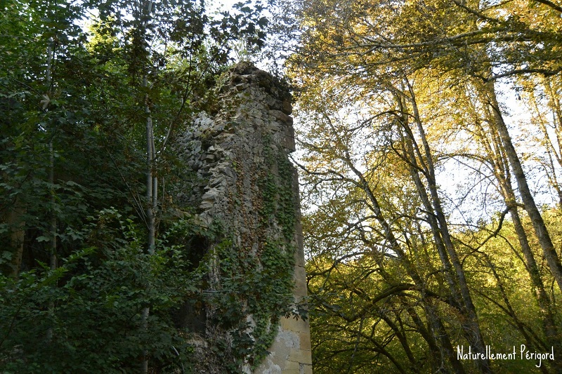 Rando repas à Gandumas, Saint-Médard-d'Excideuil - photo 2