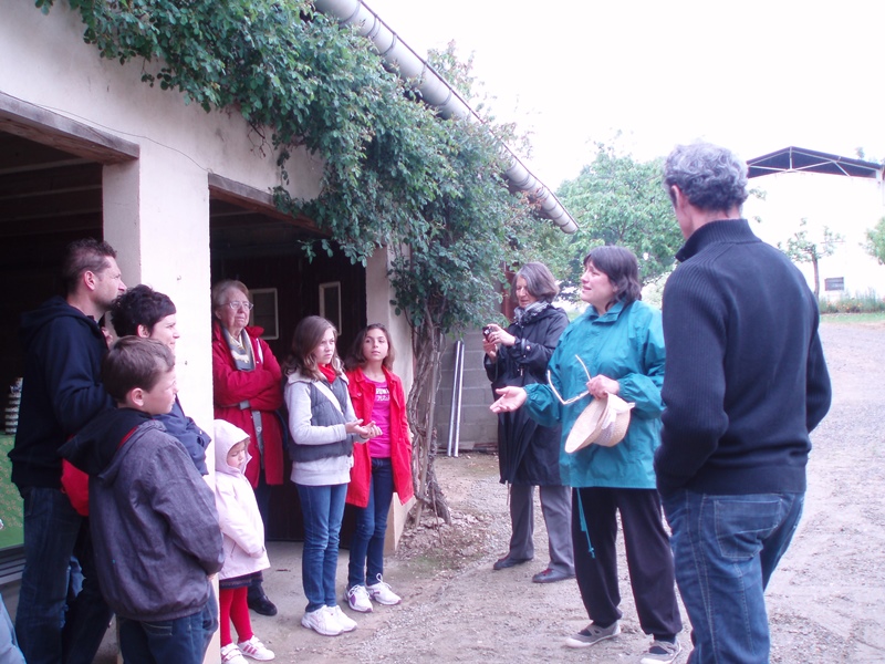 Ferme Gardelly — photo 3