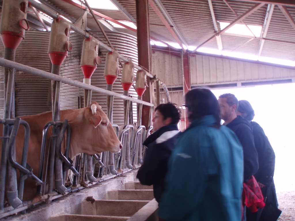 Ferme Gardelly — photo 2
