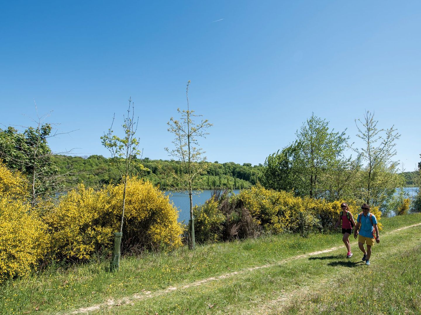 Garlin : la randonnée des Pacheras