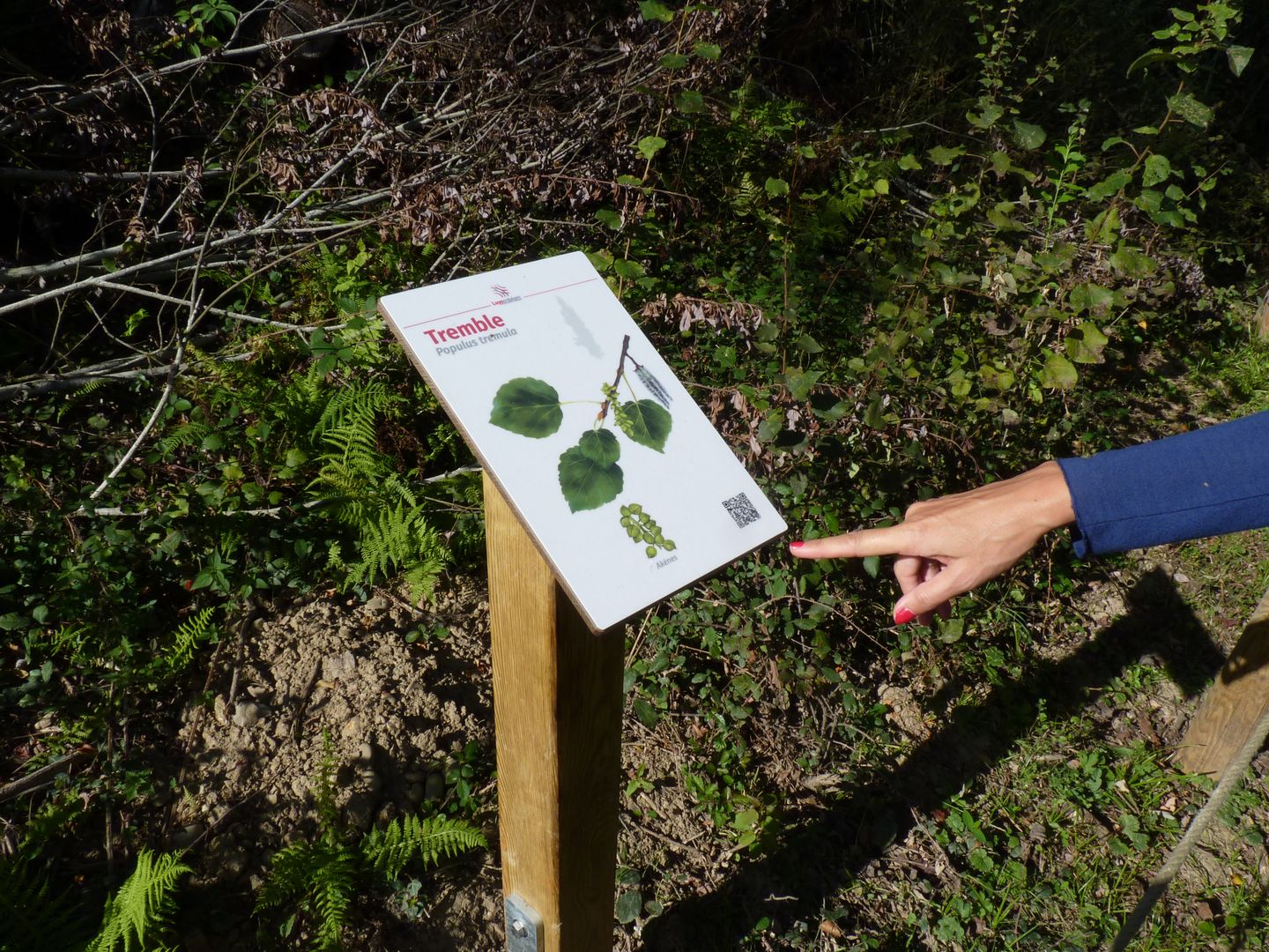 La zone humide de Loumagne - photo 2