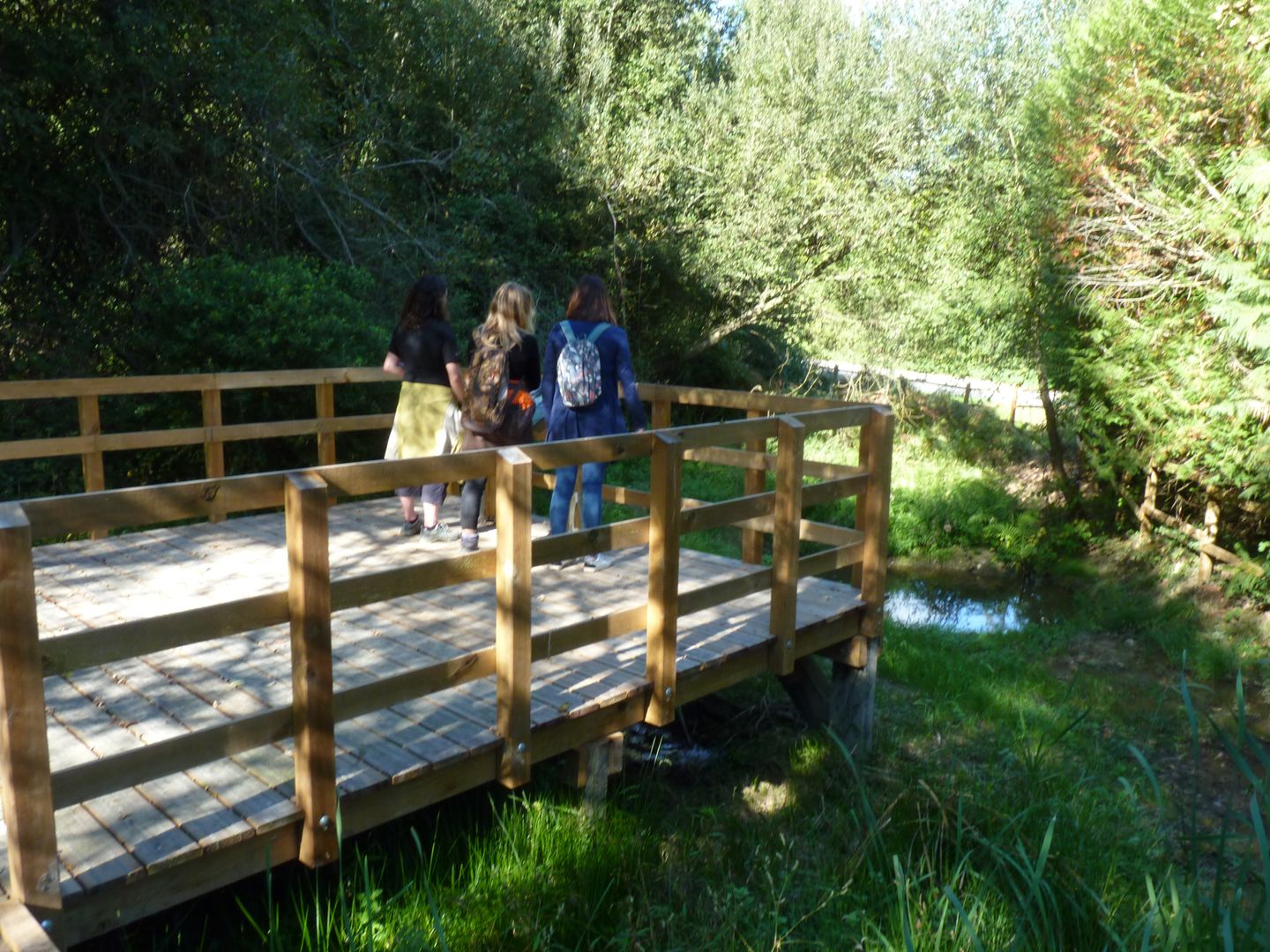 La zone humide de Loumagne - photo 5