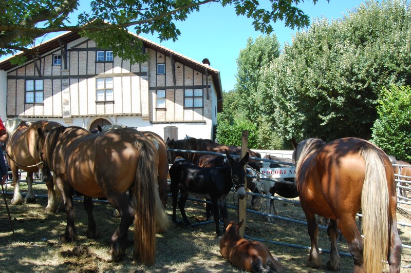 Visite du village de Garris
