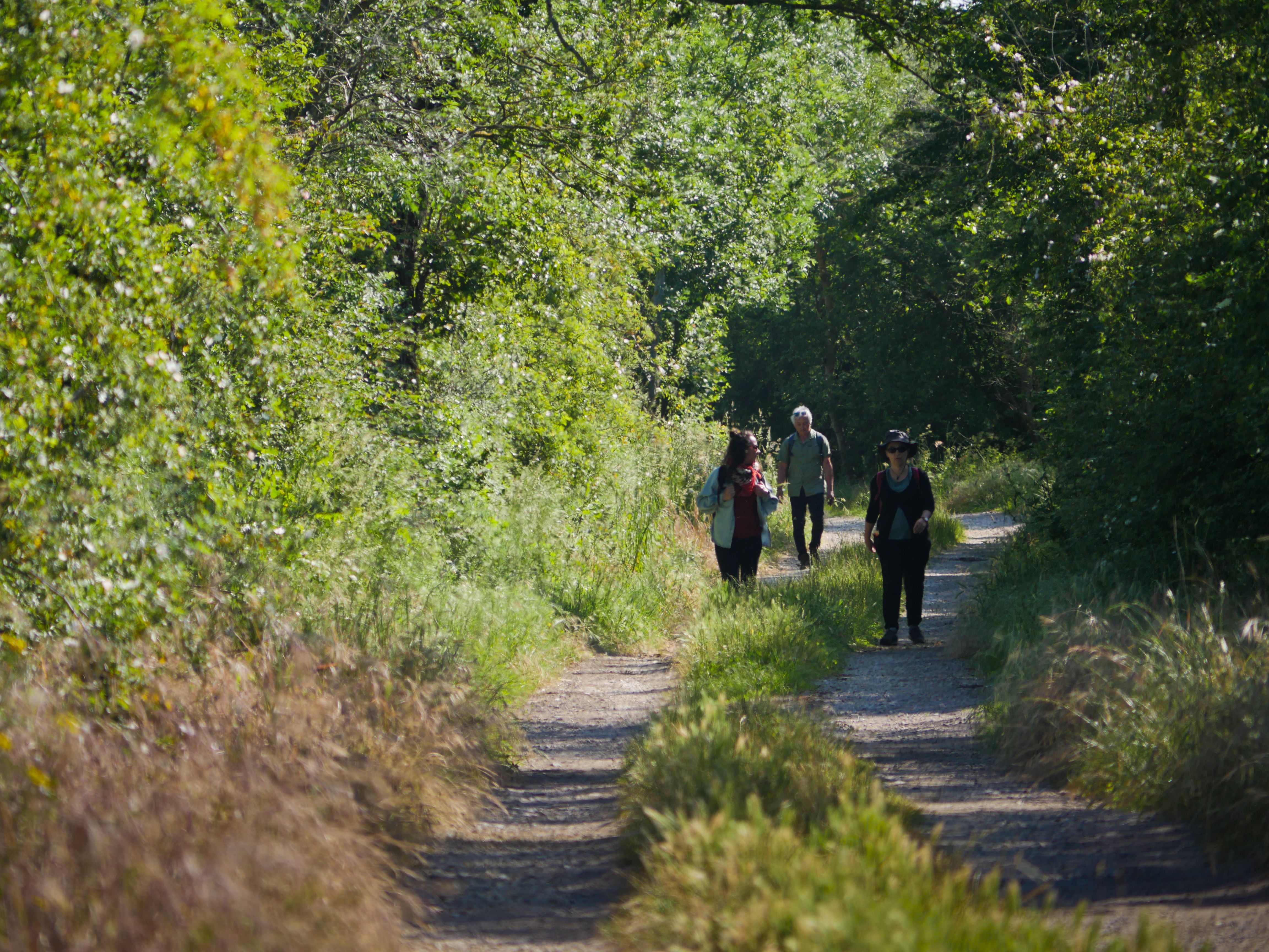 Direction La Forge à fer - photo 3