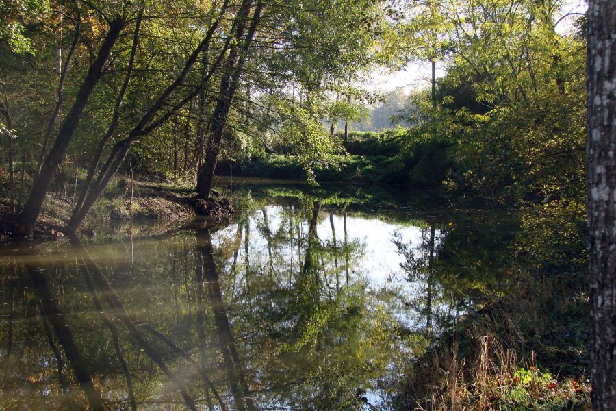 Site Natura 2000 de la Gélise et ses affluents - photo 2