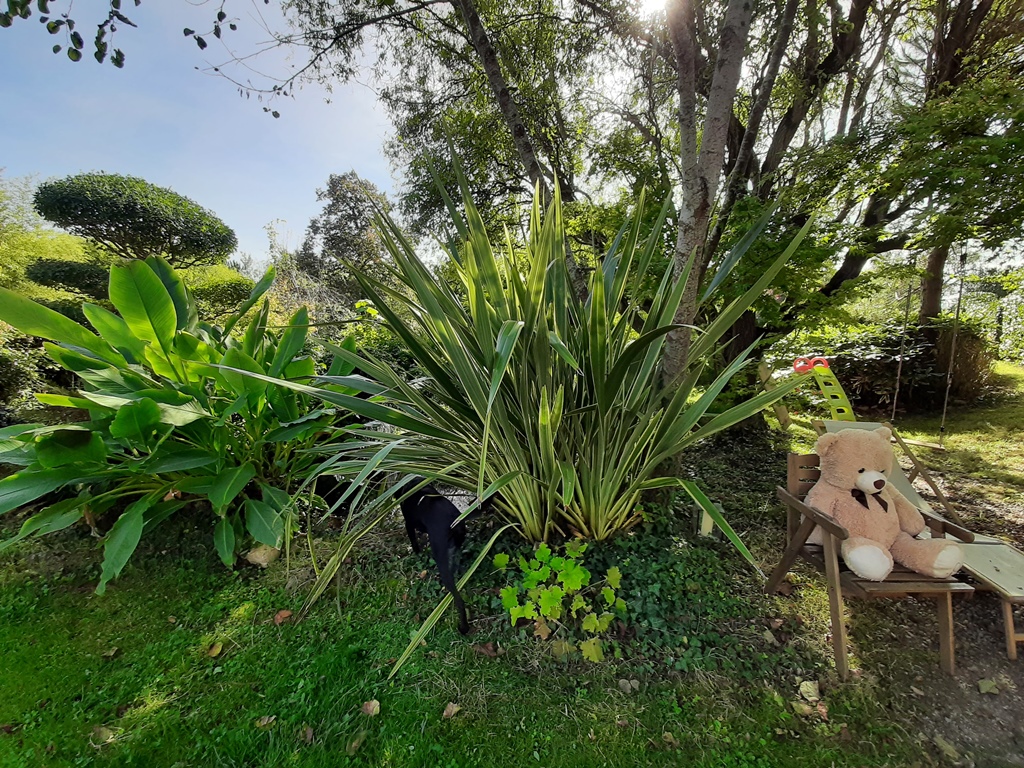 La petite bourdotte, Laurède - photo 12