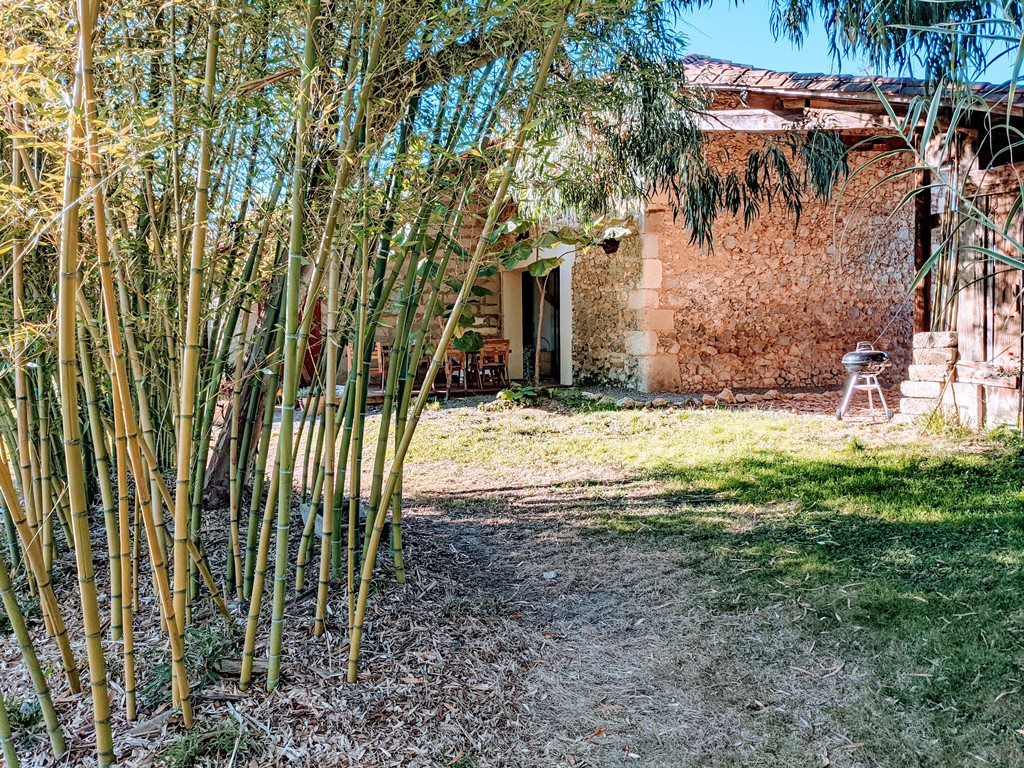 La petite bourdotte, Laurède - photo 29