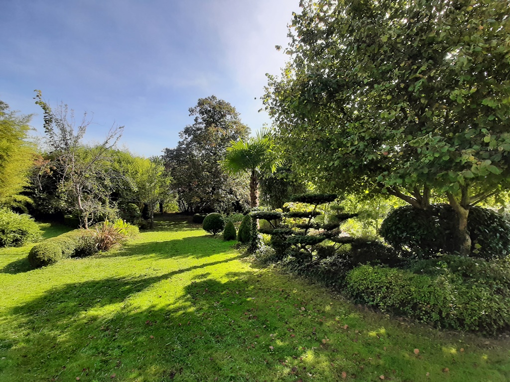 La petite bourdotte, Laurède - photo 30