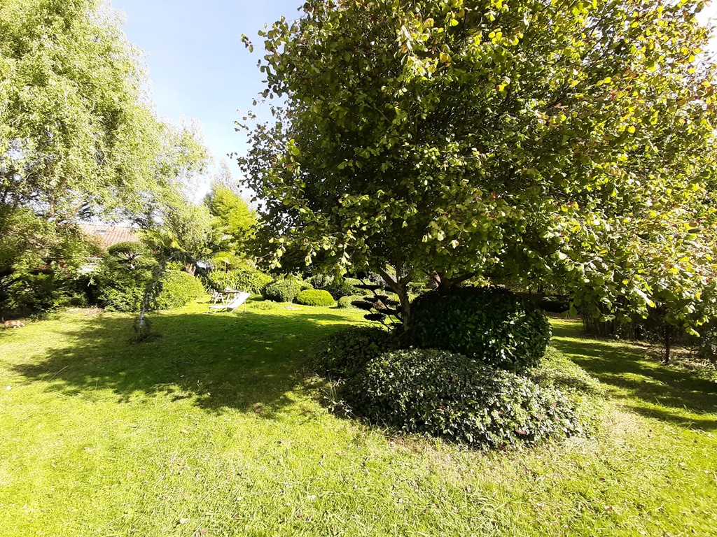 La petite bourdotte, Laurède - photo 4