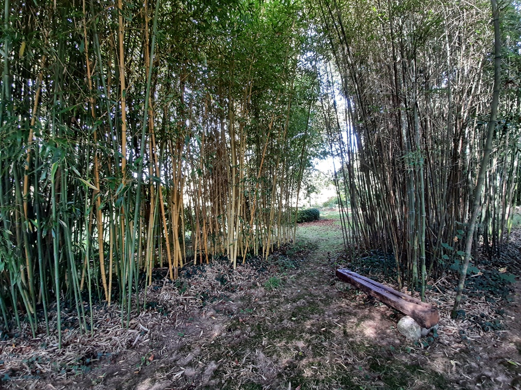 La petite bourdotte, Laurède - photo 25