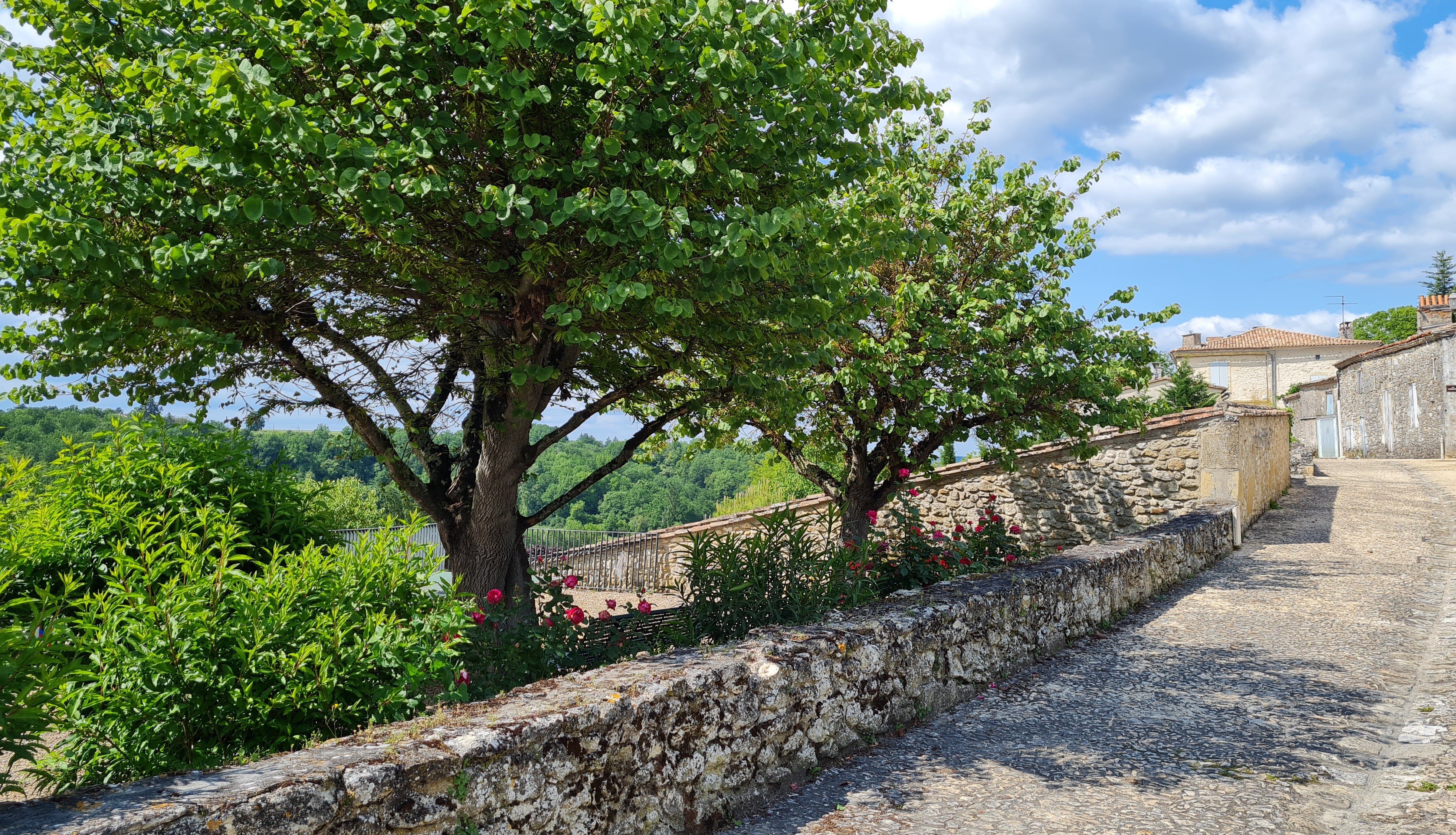 Balade dans le village médiéval de Gensac
