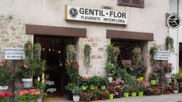 Gentil Flor — photo 3