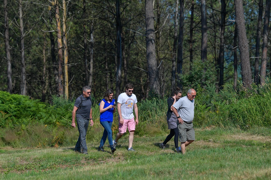 Chasse aux trésors géocaching "La fabuleuse forêt des Landes"