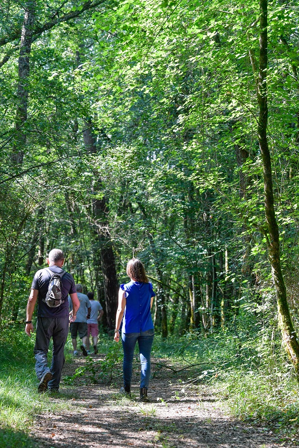Chasse aux trésors géocaching "La fabuleuse forêt des Landes" - photo 2