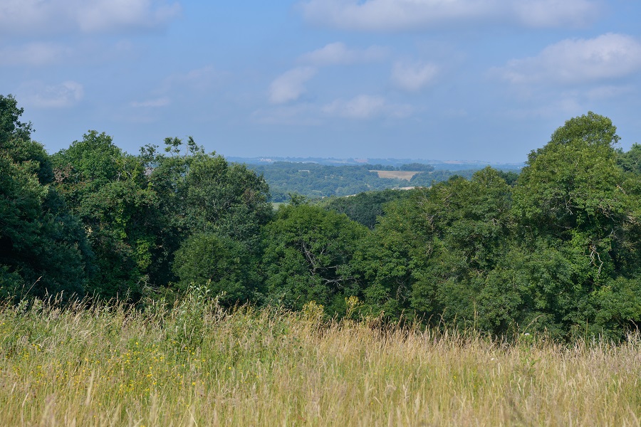 Bastide de Miramont, Miramont-Sensacq - photo 2