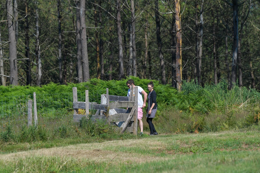 Chasse aux trésors géocaching "La fabuleuse forêt des Landes" - photo 3