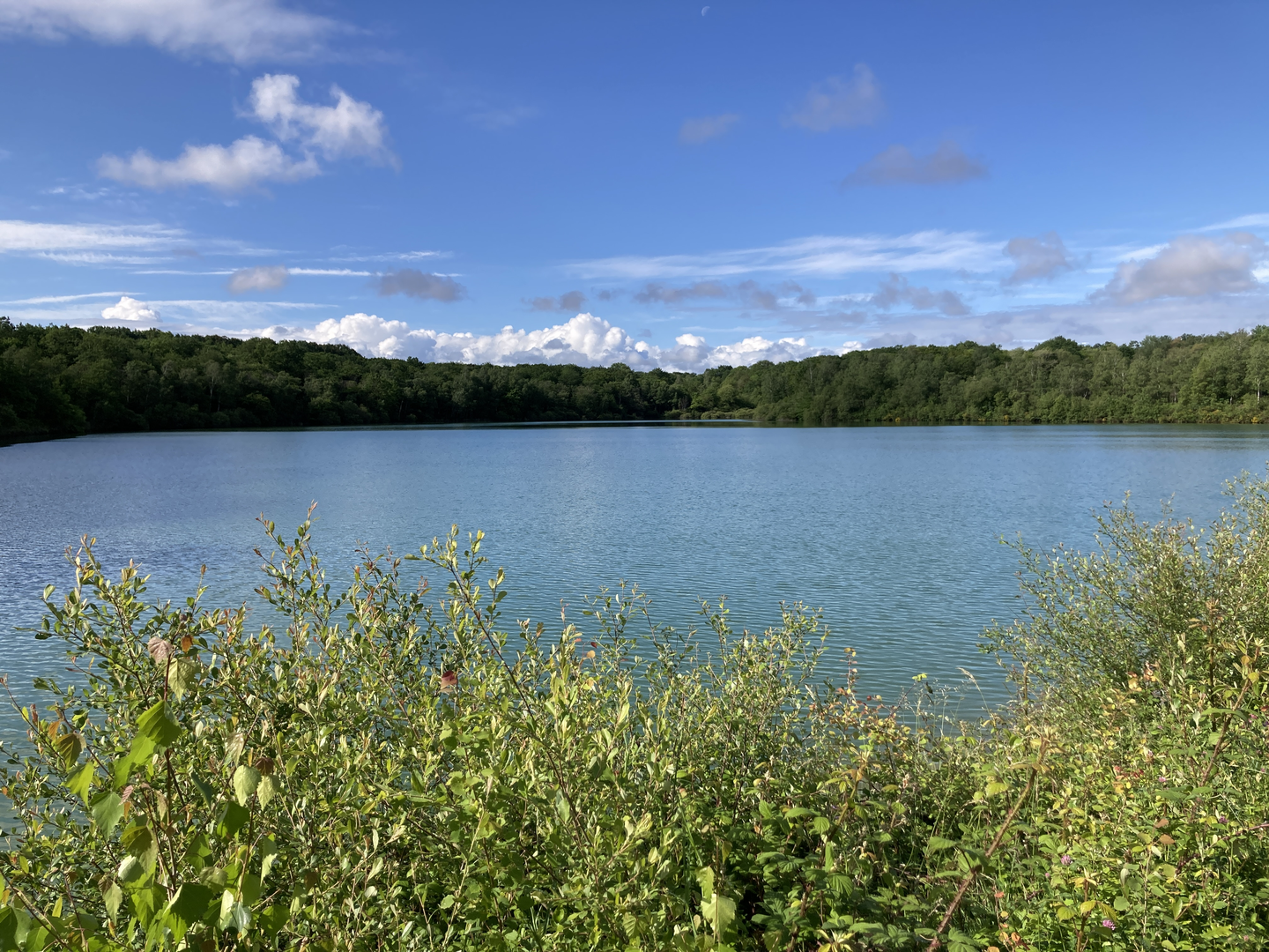 Bois de Poey à VTT — photo 2