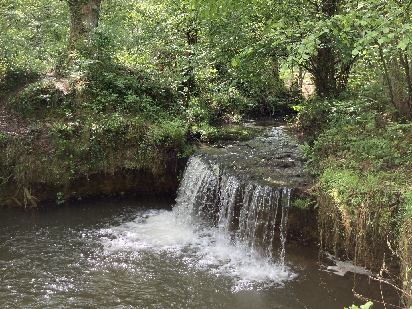 Bois de Poey à VTT — photo 3