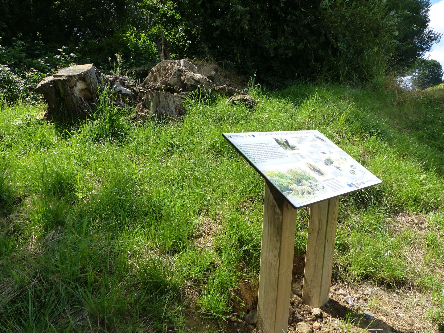 Le vallon du Manas - photo 3