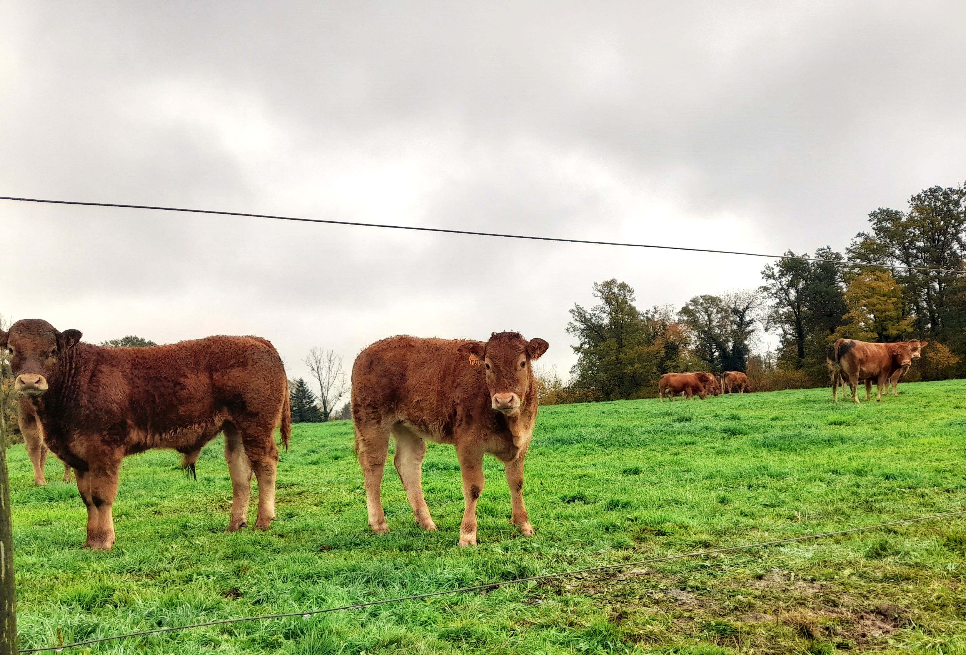 Moulin de la Papeterie - photo 4