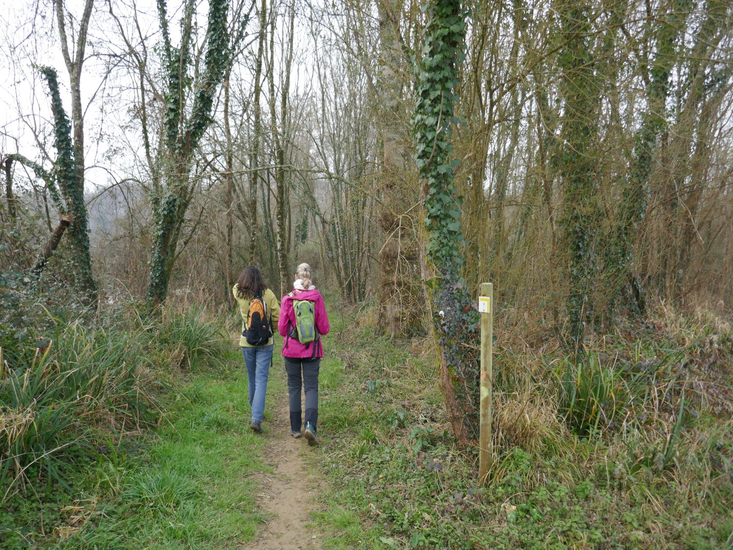 Geüs-d'Arzacq : le Luy de Béarn (version courte) - photo 3