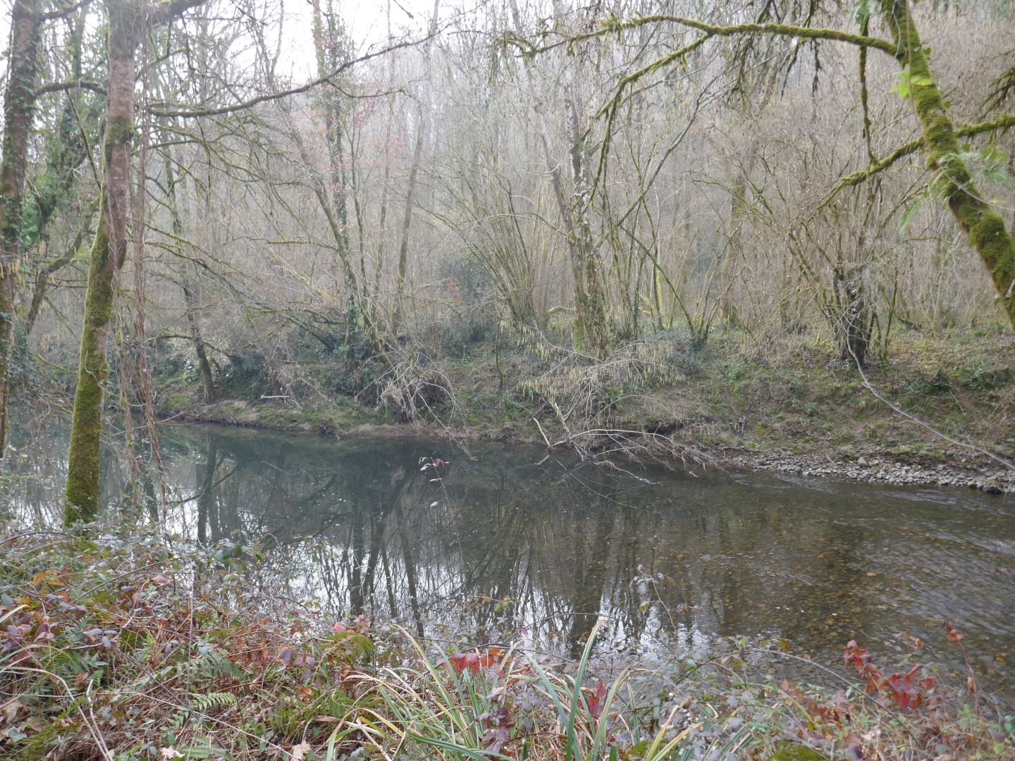 Geüs-d'Arzacq : le Luy de Béarn (version courte), Géus-d'Arzacq - photo 9