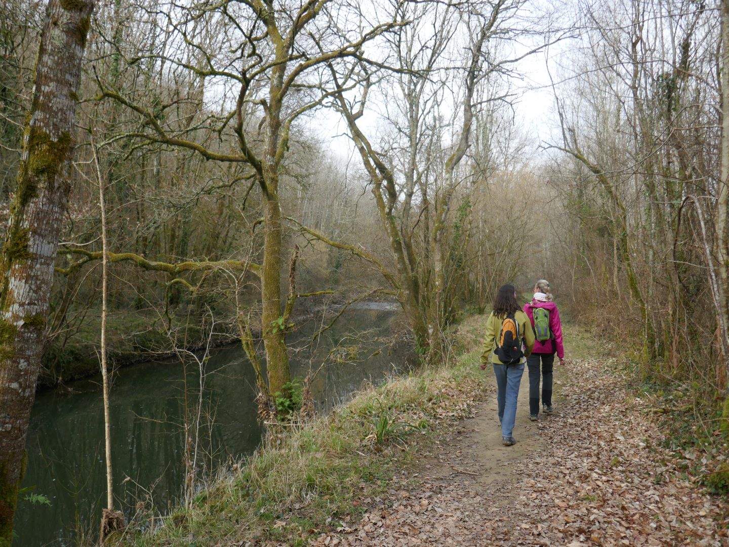 Geüs-d'Arzacq : le Luy de Béarn (version courte) - photo 2