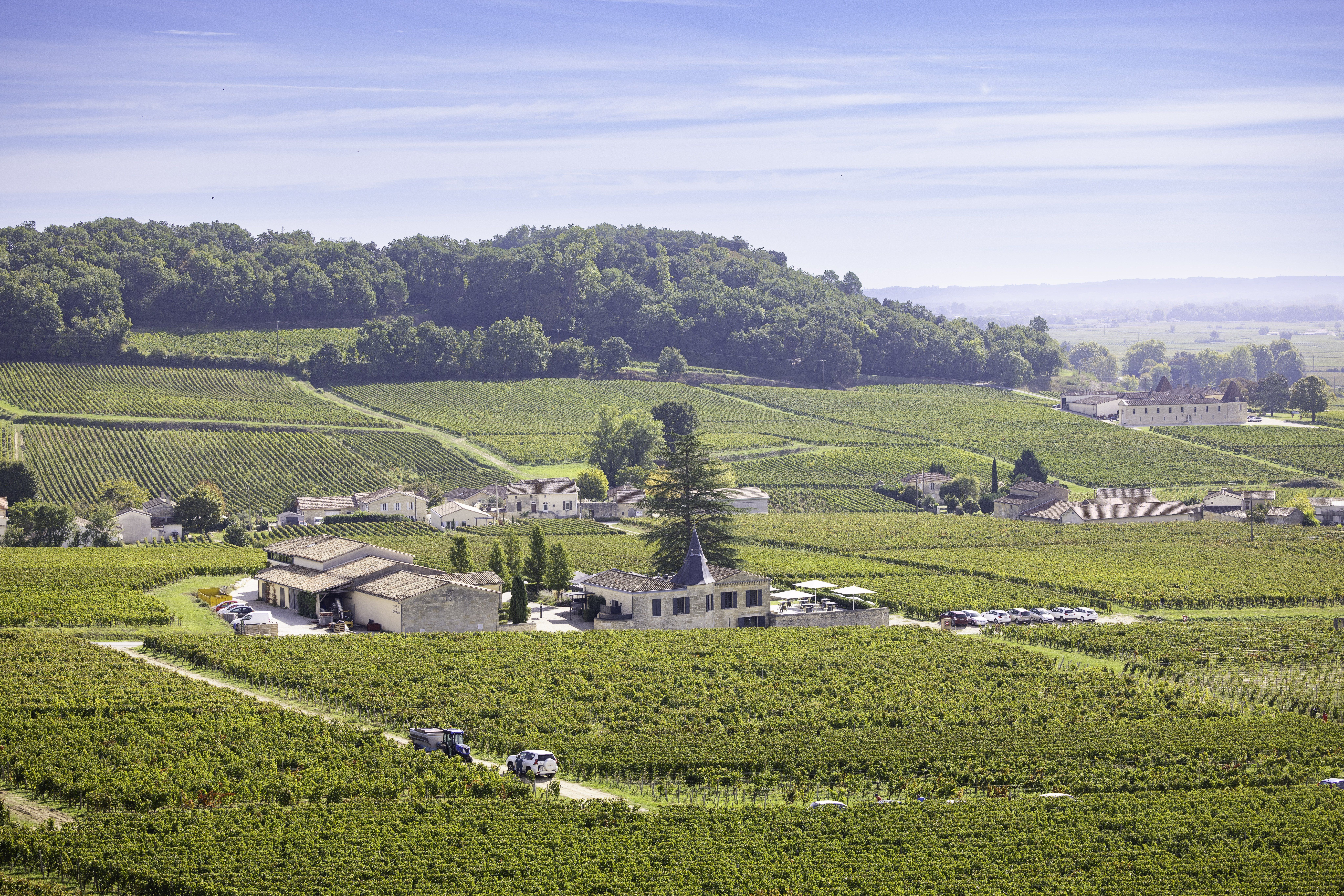 Château de Candale - photo 4