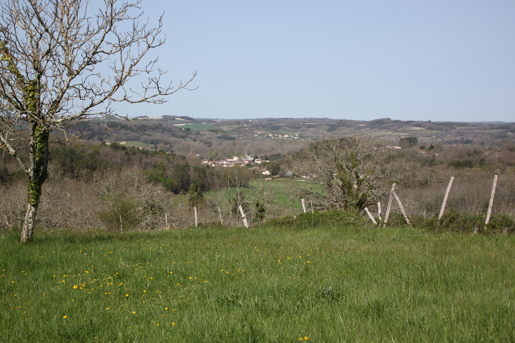 Maison des vignes, Lisle - photo 8