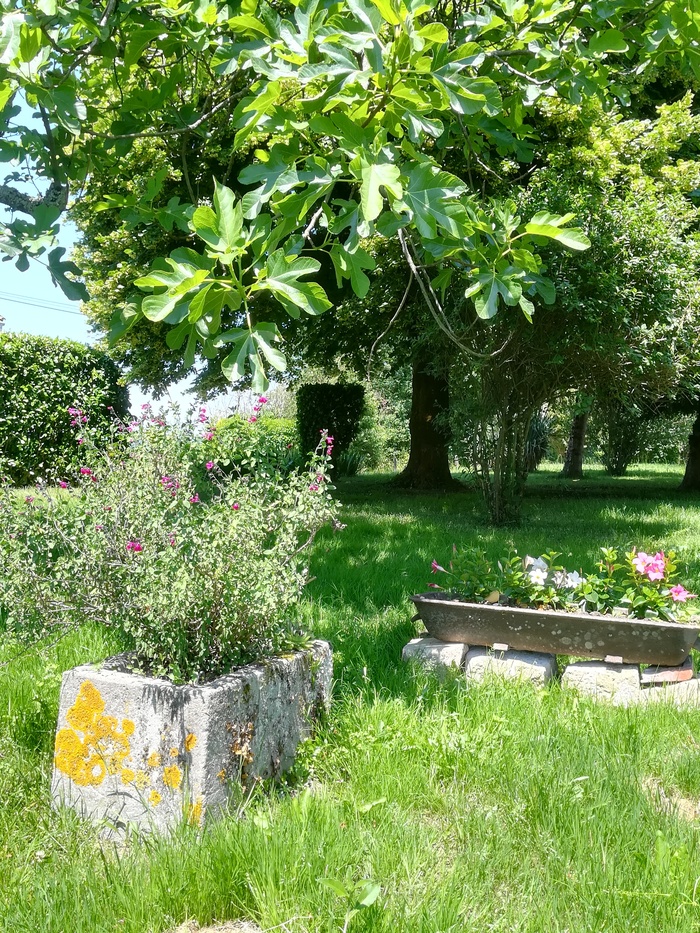 Maison des vignes, Lisle - photo 7