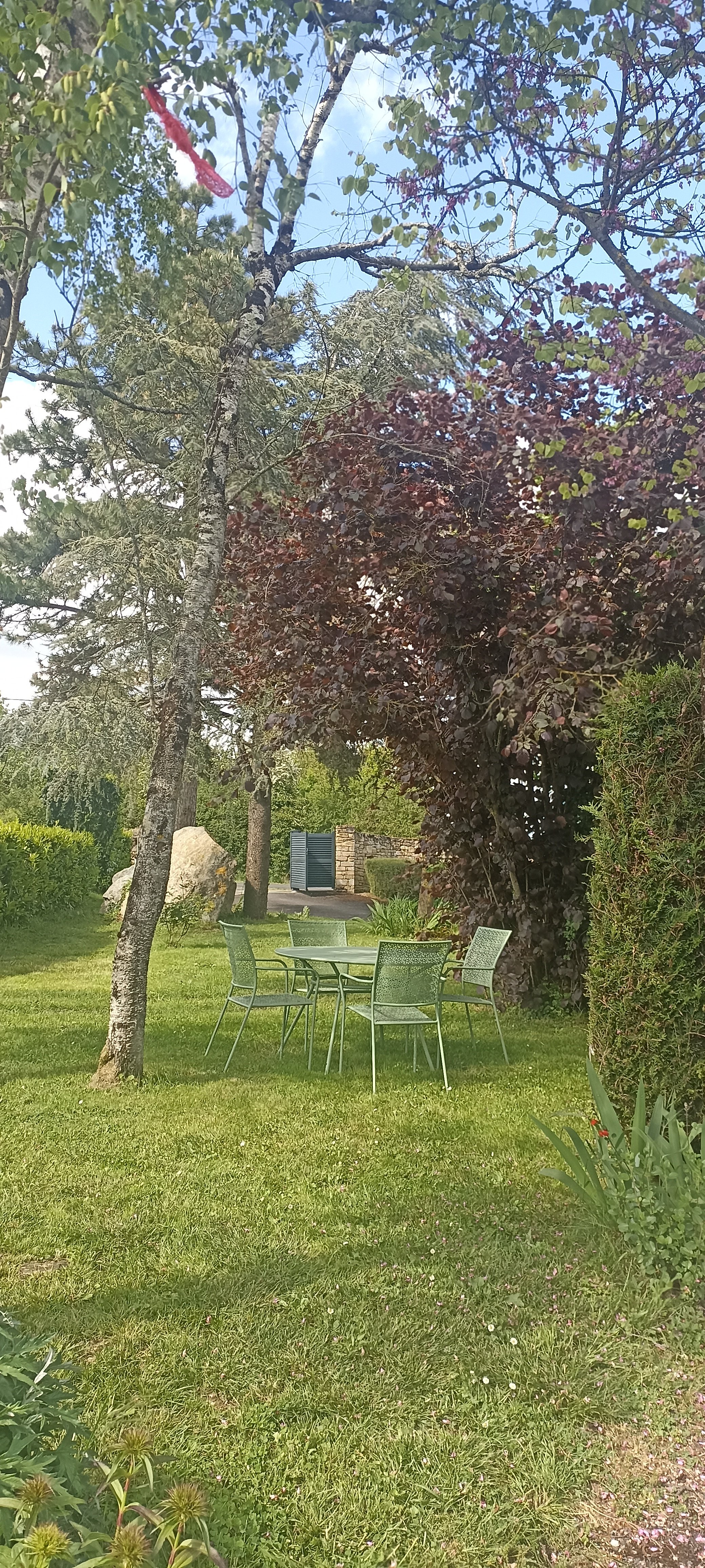 Le Ginkgo, Saint-Loup-Lamairé - photo 2