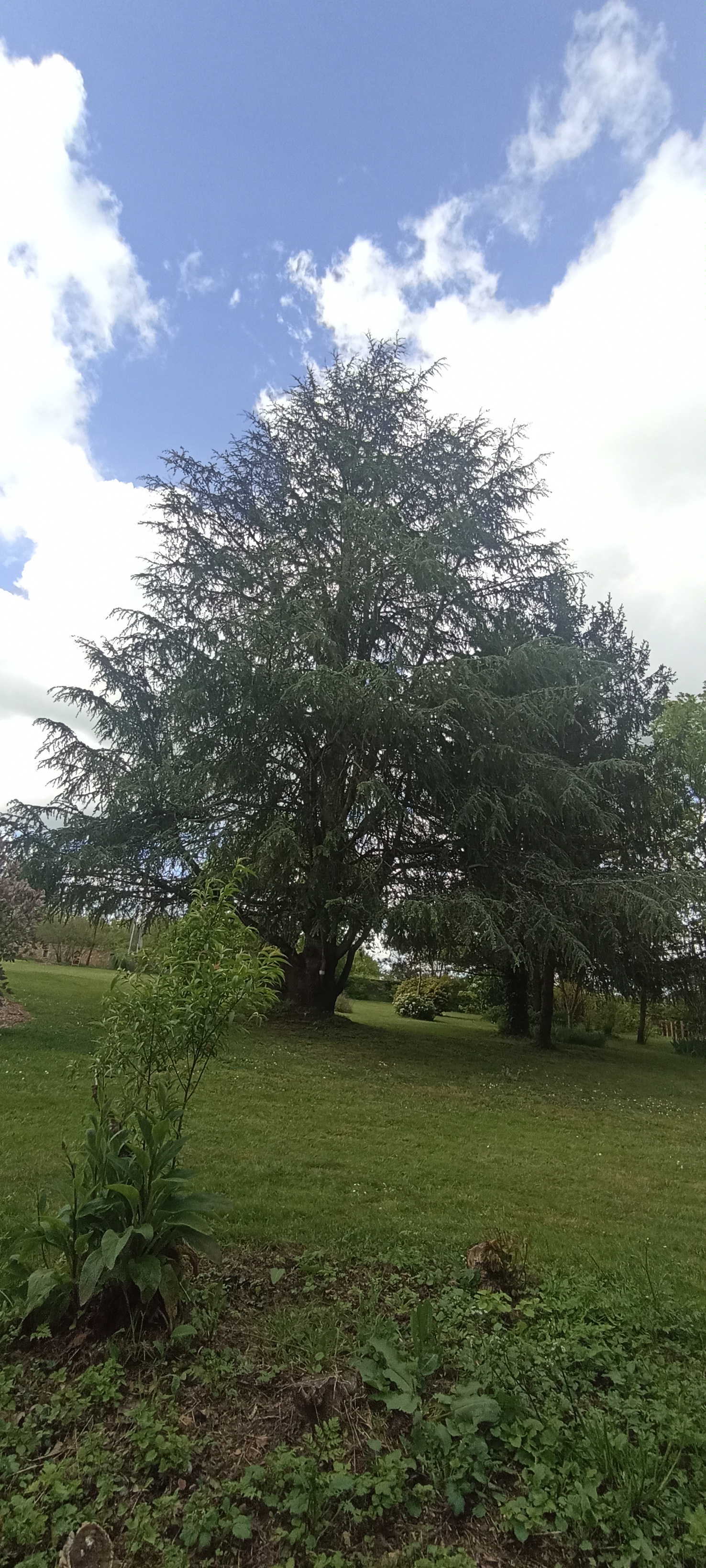 Le Ginkgo, Saint-Loup-Lamairé - photo 8