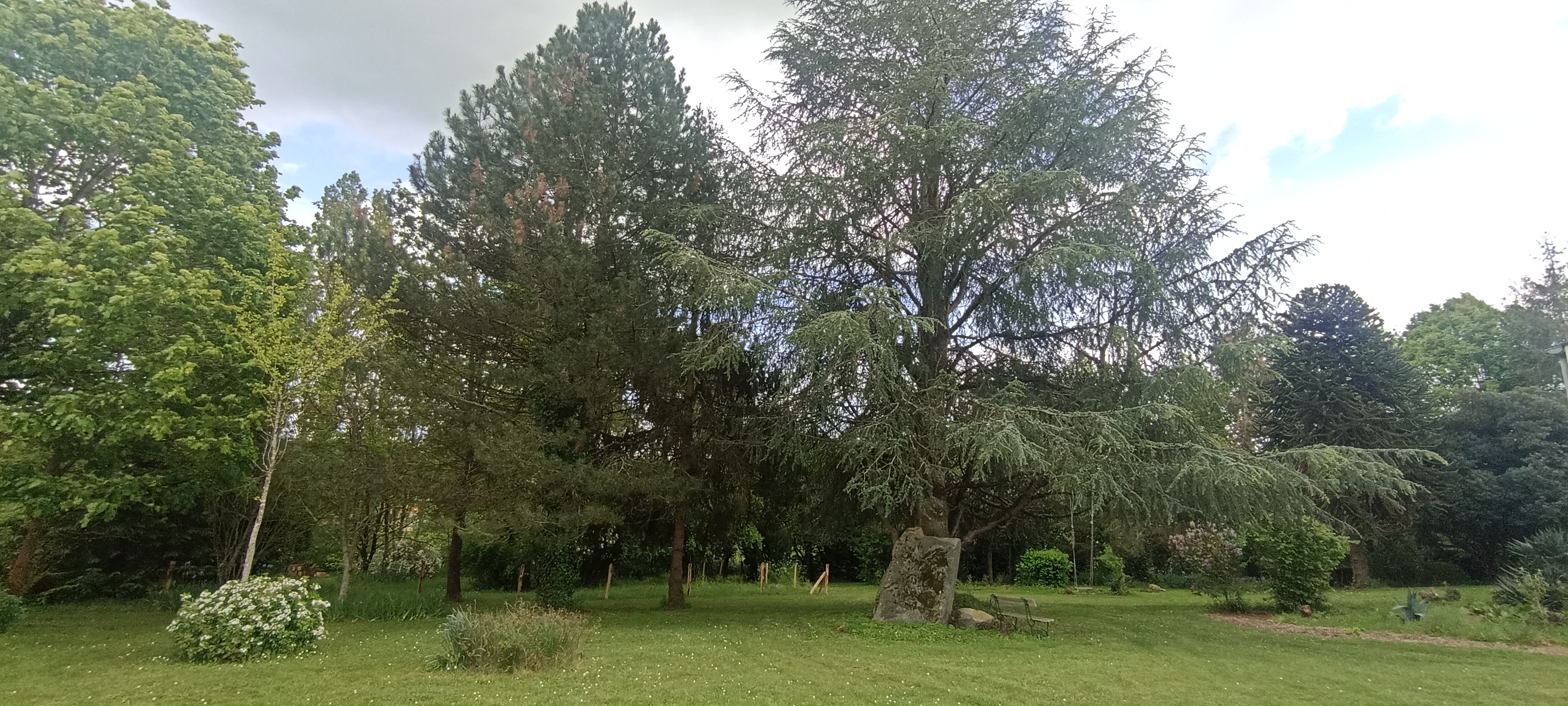 Le Ginkgo, Saint-Loup-Lamairé - photo 6