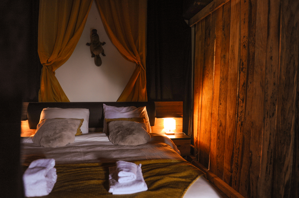 Le Logis des animaux mystérieux du parc animalier des Clautres, Bord-Saint-Georges - photo 16