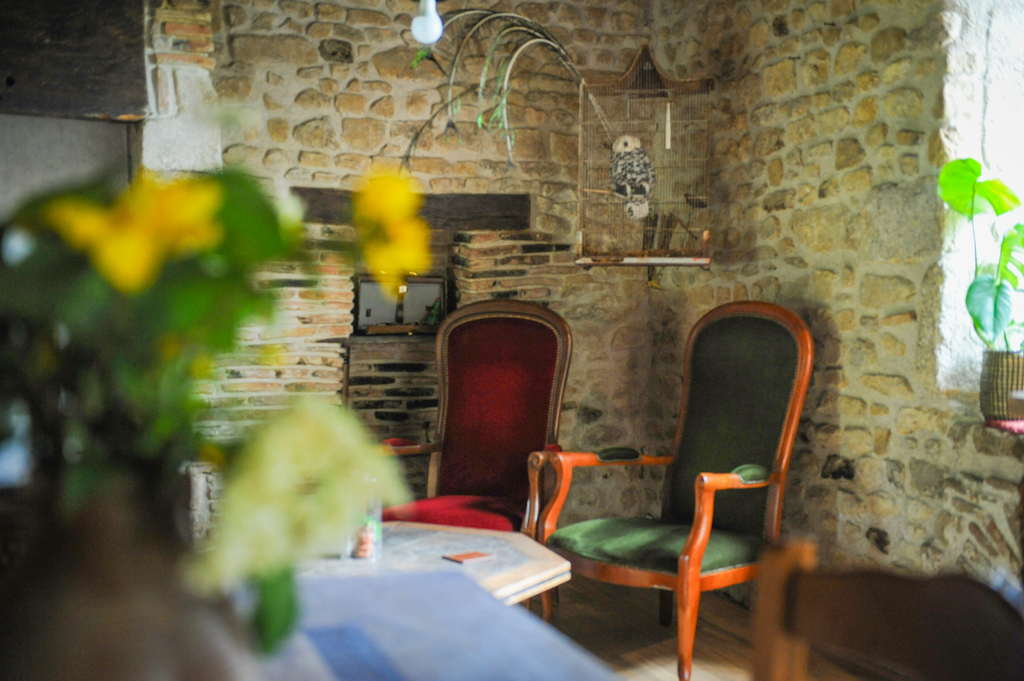 Le Logis des animaux mystérieux du parc animalier des Clautres, Bord-Saint-Georges - photo 32
