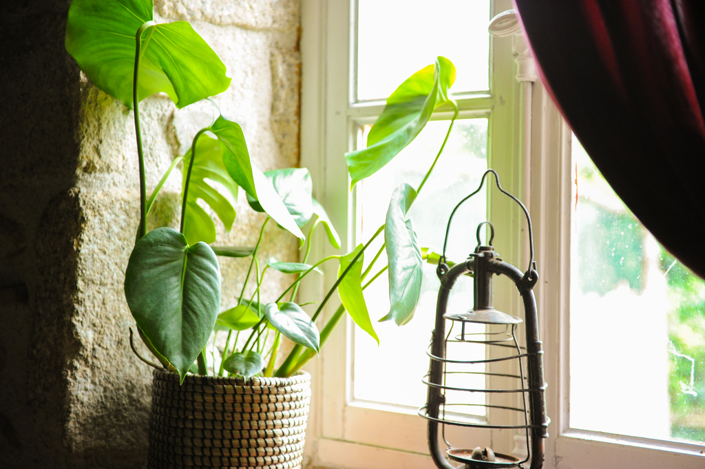 Le Logis des animaux mystérieux du parc animalier des Clautres, Bord-Saint-Georges - photo 4