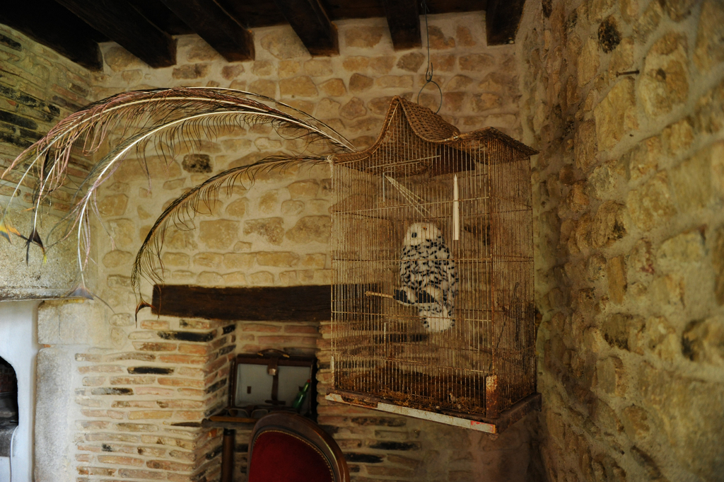 Le Logis des animaux mystérieux du parc animalier des Clautres, Bord-Saint-Georges - photo 20
