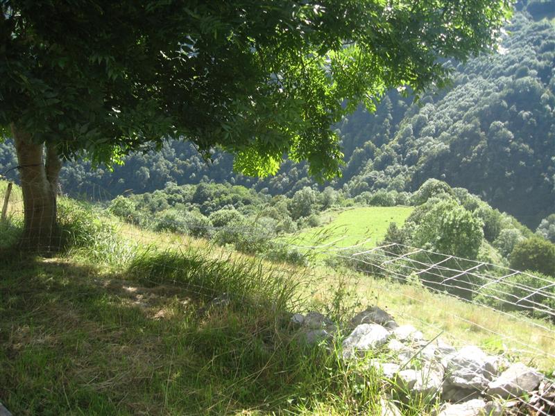 Gîte Apiou