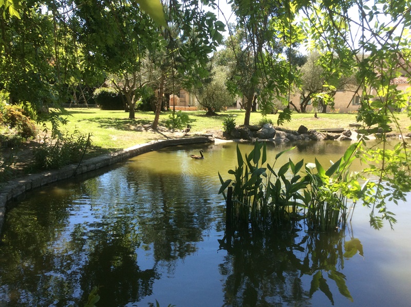 Le Bois de Montpouillan, Montpouillan - photo 9