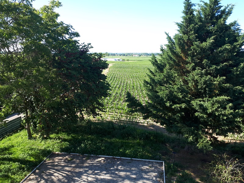 Au Coeur de la Plaine 1, Fourques-sur-Garonne - photo 6
