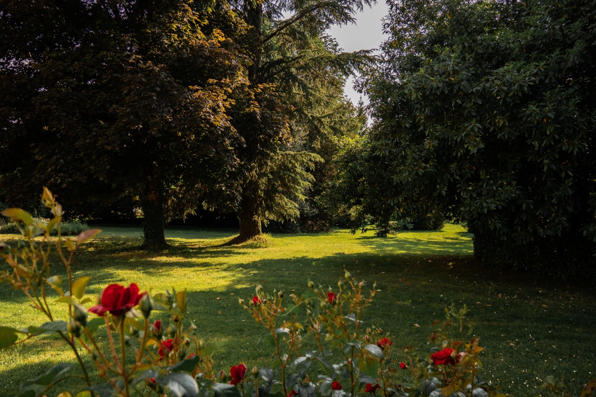 Gite Domaine de Plaisance, Lanouaille - photo 3