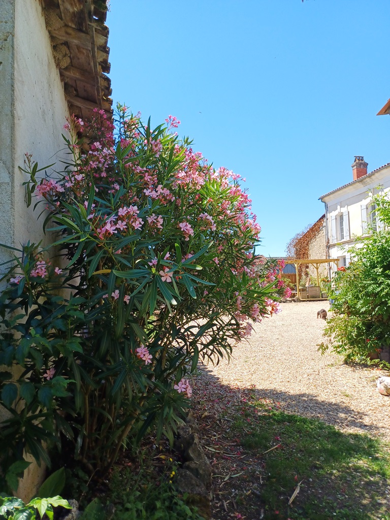 La Lézardière, Saint-Martin-de-Gurson - photo 12