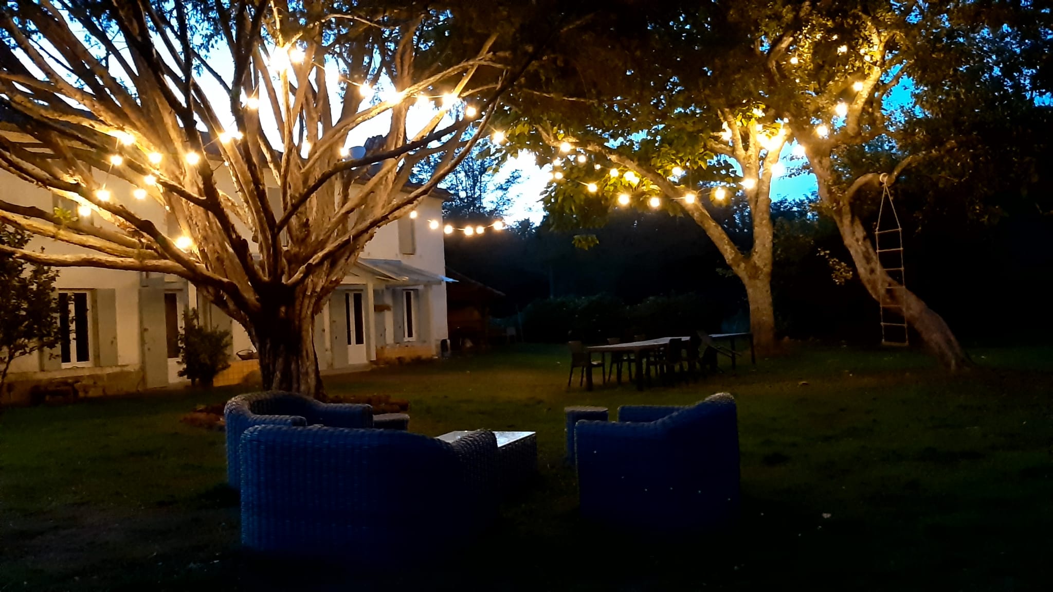 Entre Chênes et Pins, Hostens - photo 7