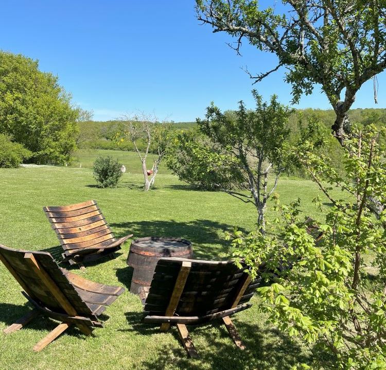 Les Gîtes de la Fabrique, Villeneuve-de-Duras - photo 16